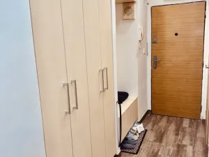 Pronájem bytu 2+1, Praha - Záběhlice, Malovická, 52 m2