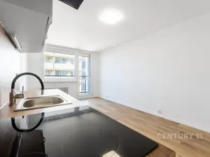 Pronájem bytu 2+1, Most, Brněnská, 35 m2