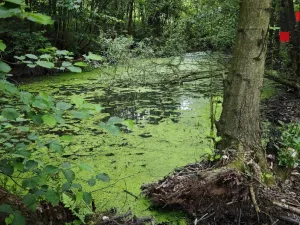 Prodej rodinného domu, Hrádek nad Nisou - Donín, K Rybníku, 250 m2