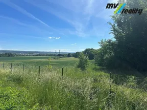 Pronájem výrobních prostor, Dvůr Králové nad Labem, 555 m2