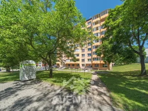Pronájem bytu 1+1, Napajedla, Nábřeží, 34 m2