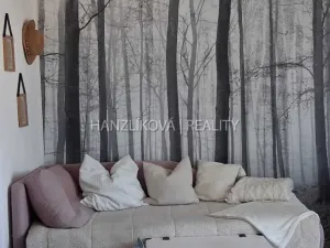 Pronájem bytu 3+1, Strakonice, Dukelská, 65 m2
