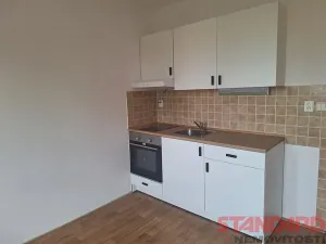 Pronájem bytu 1+kk, Dobřany, 17. listopadu, 19 m2