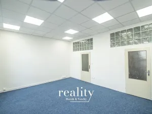 Pronájem kanceláře, Brno, Křenová, 24 m2