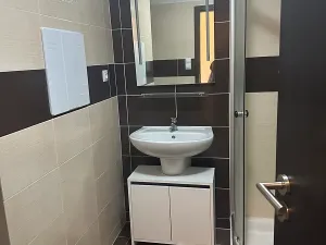 Pronájem bytu 1+kk, Plzeň, Štefánikova, 30 m2