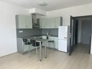 Pronájem bytu 1+kk, Plzeň, Štefánikova, 30 m2