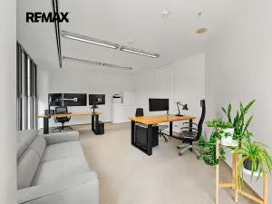 Pronájem kanceláře, Praha - Nové Město, Václavské náměstí, 353 m2