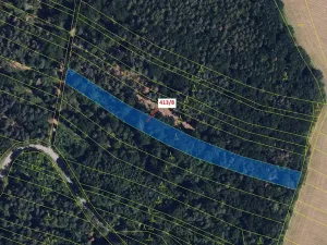 Dražba lesa, Olbramice, 4139 m2