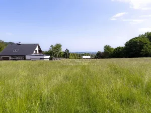 Prodej pozemku pro bydlení, Palkovice - Myslík, 1000 m2