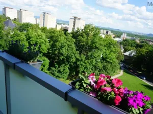 Prodej bytu 3+1, Litvínov - Horní Litvínov, Tylova, 64 m2