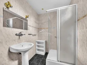 Prodej rodinného domu, Nové Syrovice, 190 m2
