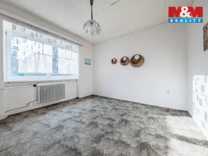 Prodej rodinného domu, Račetice, 438 m2