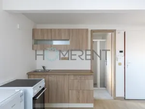 Pronájem bytu 1+kk, Mladá Boleslav - Mladá Boleslav IV, Luční, 21 m2