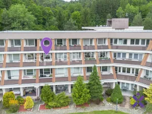 Prodej bytu 2+kk, Všemina, 45 m2