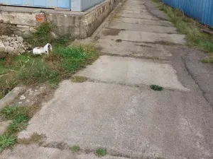 Pronájem skladu, Český Brod, Sportovní, 720 m2