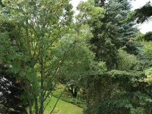 Pronájem bytu 3+kk, Praha - Petrovice, Dieselova, 80 m2