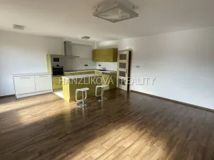 Pronájem bytu 3+kk, České Budějovice - České Budějovice 3, Skuherského, 88 m2