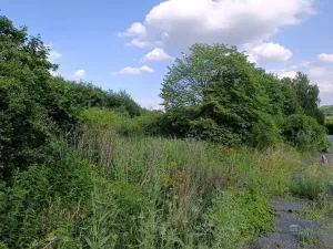 Prodej komerčního pozemku, Říčany, Zděbradská, 6108 m2