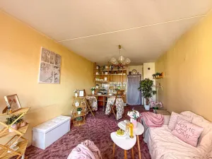 Prodej bytu 1+kk, Tábor, Havanská, 30 m2