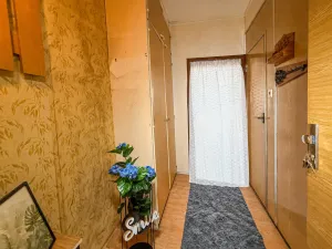 Prodej bytu 1+kk, Tábor, Havanská, 30 m2