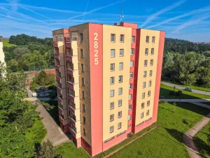 Prodej bytu 1+kk, Tábor, Havanská, 30 m2