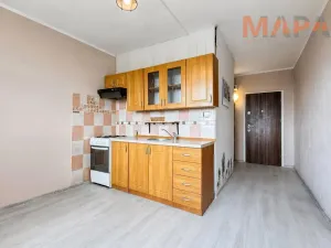 Pronájem bytu 1+1, Jirkov, SNP, 40 m2