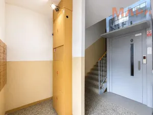 Pronájem bytu 1+1, Jirkov, SNP, 40 m2