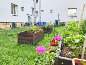 Pronájem bytu 1+1, Nový Jičín, Riegrova, 38 m2