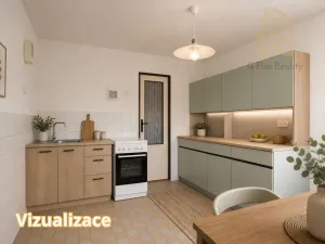 Prodej rodinného domu, Raná, 218 m2