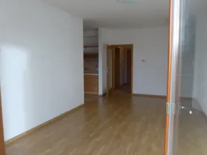 Pronájem bytu 2+kk, České Budějovice - České Budějovice 2, Pasovská, 52 m2