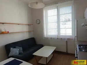 Pronájem bytu 1+1, Brno - Veveří, 57 m2