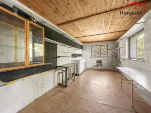Prodej rodinného domu, Nový Bor - Arnultovice, Lesní čtvrť, 211 m2