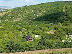 Prodej pole, Židlochovice, 3851 m2