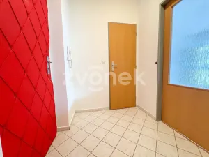 Pronájem bytu 1+kk, Zlín, Březnická, 44 m2