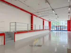 Pronájem obchodního prostoru, Olomouc, Legionářská, 338 m2