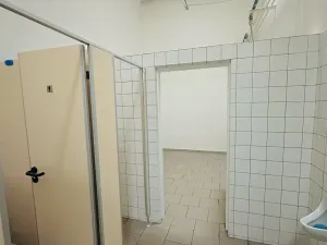 Pronájem výrobních prostor, Chodová Planá, Kyjovská, 2497 m2
