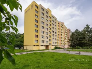 Prodej bytu 2+kk, České Budějovice - České Budějovice 2, Otavská, 46 m2