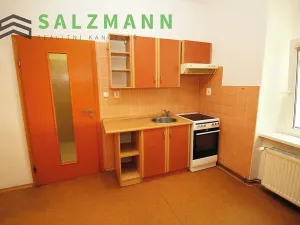 Pronájem bytu 2+kk, Plzeň, Úslavská, 45 m2