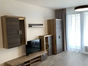 Pronájem bytu 2+kk, Praha - Karlín, Nekvasilova, 67 m2
