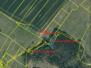 Prodej lesa, Dívčí Kopy, 1088 m2