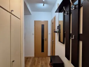 Pronájem bytu 2+kk, Brno - Veveří, Jana Uhra, 36 m2