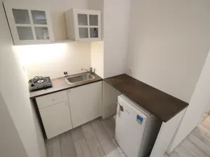 Pronájem bytu 1+kk, Praha - Nové Město, Kateřinská, 25 m2