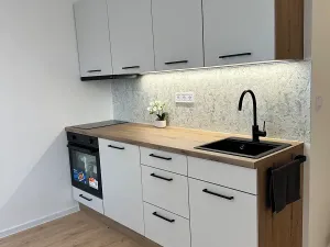 Prodej bytu 1+kk, Karlovy Vary, Fibichova, 20 m2
