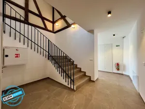Pronájem bytu 3+kk, Opava, Přemyslovců, 60 m2