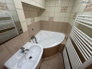 Prodej rodinného domu, Třebenice, Loucká, 148 m2
