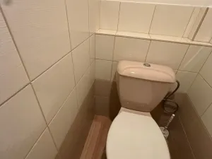 Prodej rodinného domu, Třebenice, Loucká, 148 m2