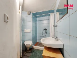 Pronájem bytu 1+1, Stříbro, Lesní cesta, 36 m2