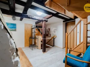 Prodej komerční nemovitosti, Dolní Moravice, 480 m2