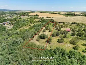 Prodej zahrady, Dolní Kounice, 4478 m2