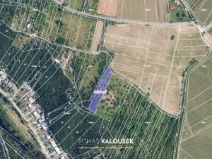 Prodej zahrady, Dolní Kounice, 4478 m2